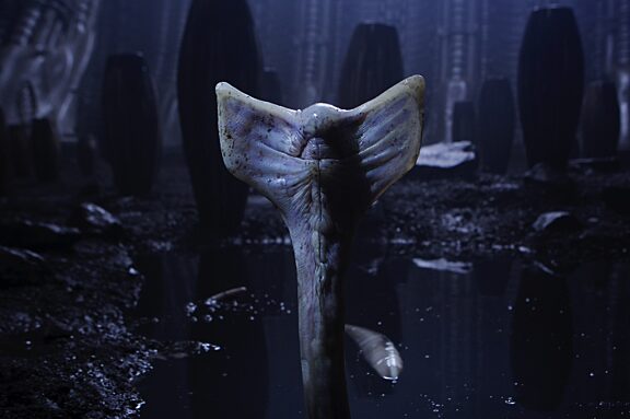 Prometheus 24 Resized